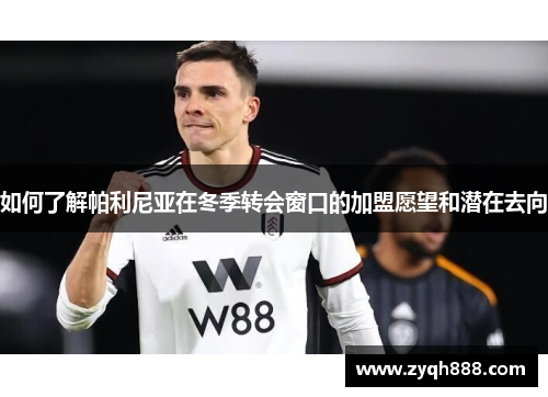 如何了解帕利尼亚在冬季转会窗口的加盟愿望和潜在去向